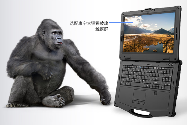 江西高性能國產筆記本：DTN-S1508EU